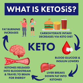 Ketosis: carb intake decreases, blood glucose & insulin lowers, liver breaks down fat into ketones, ketones are released and travelt o brain for energy, fat burning increases